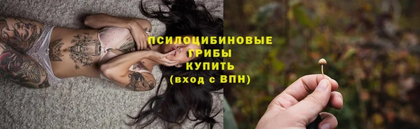 героин Богданович