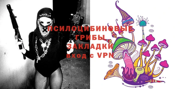 героин Богданович