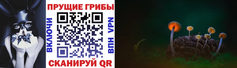 продажа наркотиков  Туймазы  Галлюциногенные грибы ЛСД 